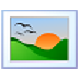 Flora Screensaver(植物主题屏幕保护程序) V1.0 官方版