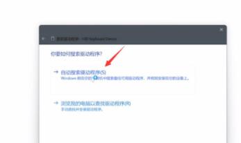 Win11按键失灵了怎么解决?Win11按键失灵教程