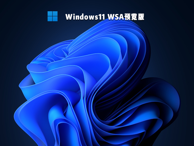 Win11 Windows Subsystem for Android 预览版