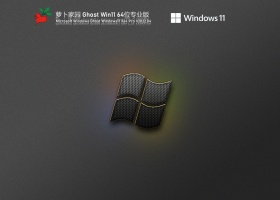 萝卜家园 Ghost Win11 64位 最新专业版 V2022.05