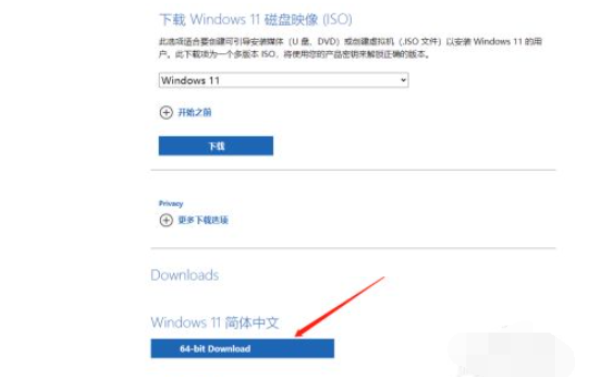 微软官网Win11镜像怎么下载安装 微软官网Win11镜像下载安装方法