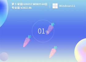 萝卜家园 Ghost Win11 64位专业版 V2022.06