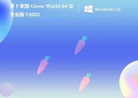 萝卜家园 Ghost Win10 64位专业版 V2022