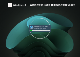 系统之家windows11专业版ISO镜像(最新驱动免激活)