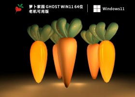萝卜家园 Ghost Win11 64位 老机可用版 V2022