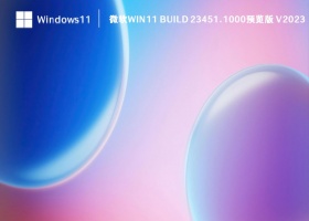 微软Win11 Build 23451.1000预览版 V2023